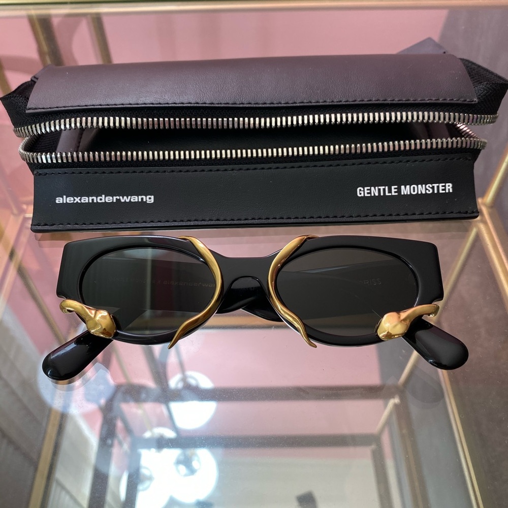 Alexander Wang x Gentle Monster